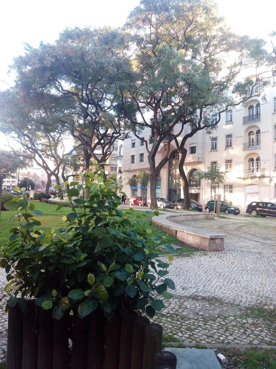 Apolo Bed & Breakfast Lisboa Dış mekan fotoğraf